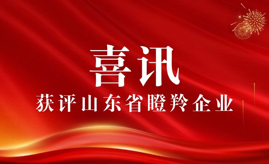 奥卓新材荣膺2024年度山东省瞪羚企业称号！